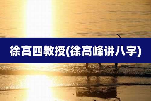 徐高四教授(徐高峰讲八字)