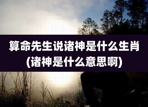 算命先生说诸神是什么生肖(诸神是什么意思啊)
