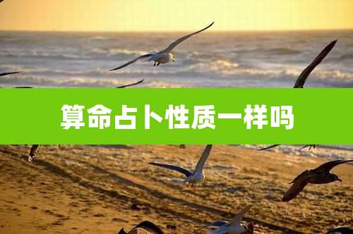 算命占卜性质一样吗