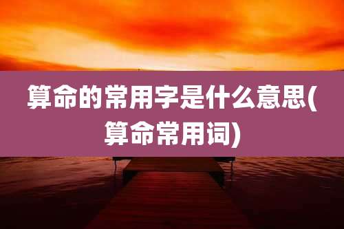 算命的常用字是什么意思(算命常用词)
