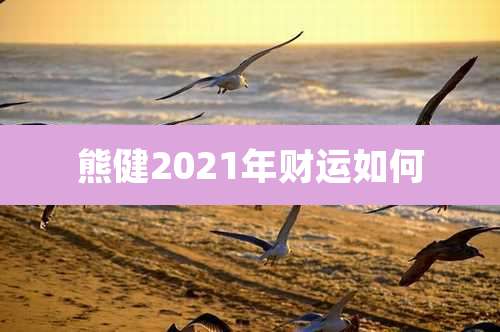 熊健2021年财运如何