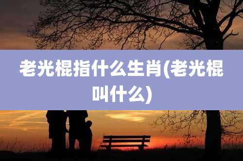 老光棍指什么生肖(老光棍叫什么)