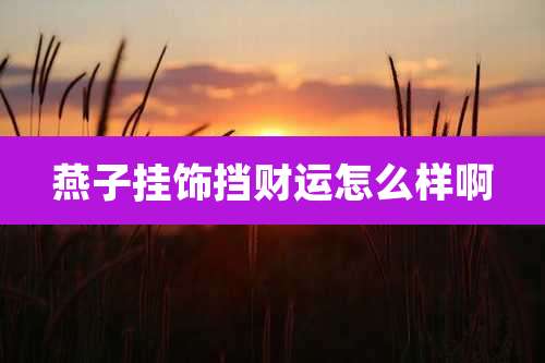 燕子挂饰挡财运怎么样啊