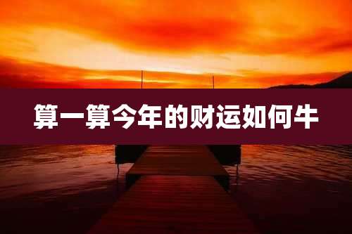 算一算今年的财运如何牛