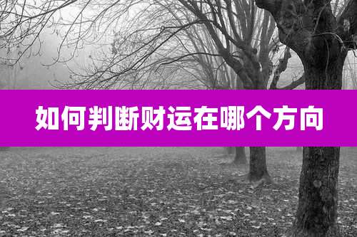 如何判断财运在哪个方向