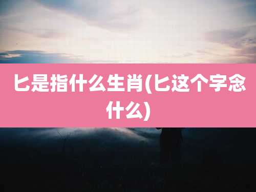 匕是指什么生肖(匕这个字念什么)