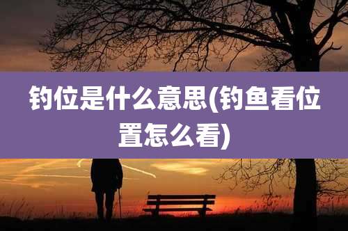 钓位是什么意思(钓鱼看位置怎么看)