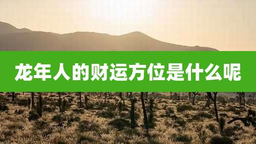龙年人的财运方位是什么呢