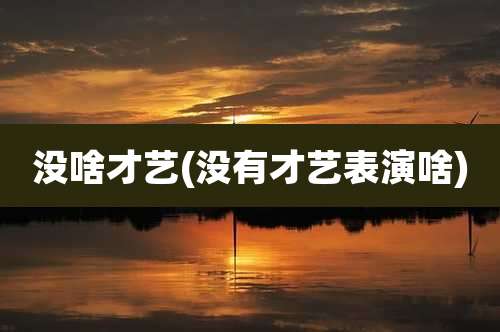 没啥才艺(没有才艺表演啥)