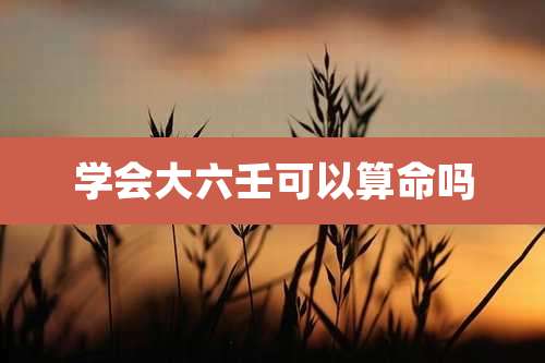 学会大六壬可以算命吗