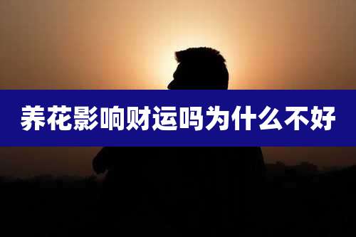 养花影响财运吗为什么不好