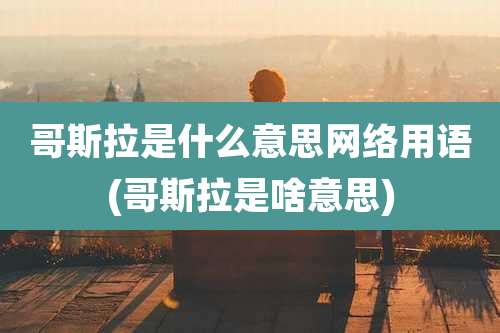 哥斯拉是什么意思网络用语(哥斯拉是啥意思)