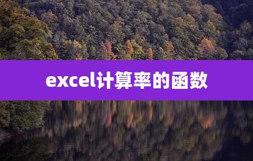 excel计算率的函数