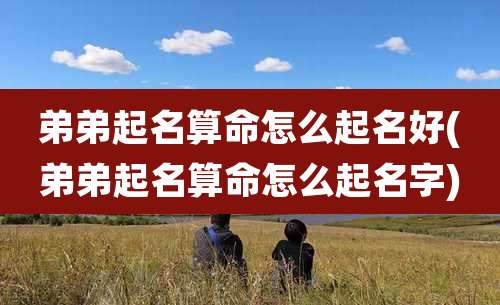 弟弟起名算命怎么起名好(弟弟起名算命怎么起名字)