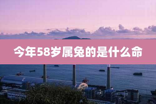 今年58岁属兔的是什么命