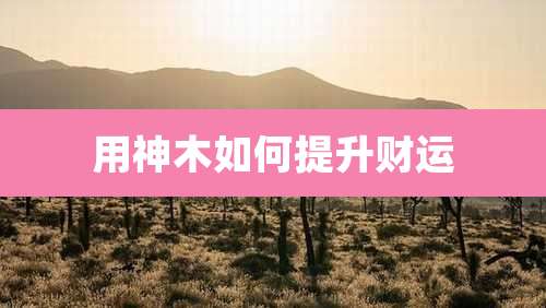 用神木如何提升财运