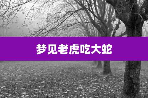 梦见老虎吃大蛇