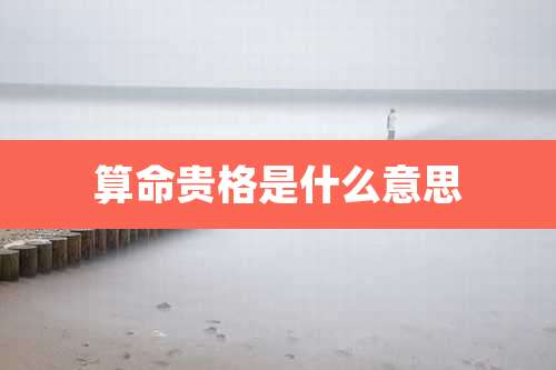 算命贵格是什么意思