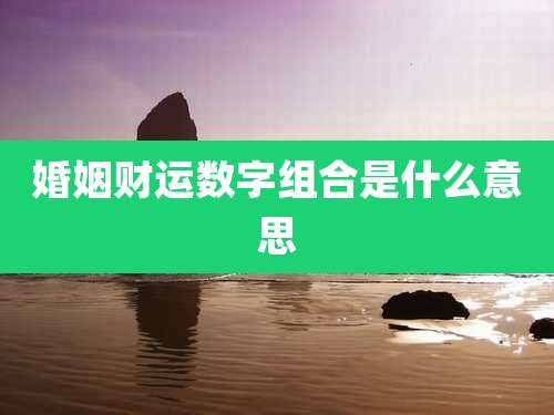 婚姻财运数字组合是什么意思