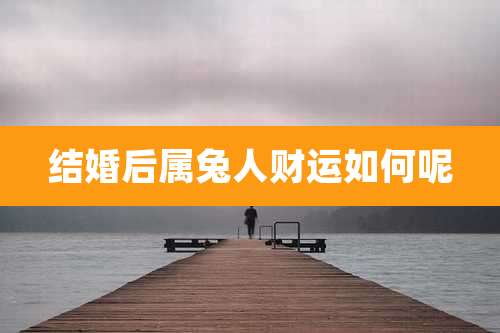 结婚后属兔人财运如何呢