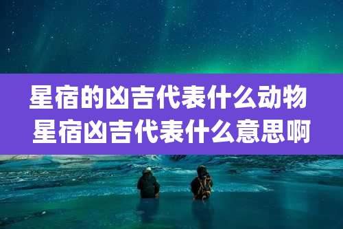星宿的凶吉代表什么动物 星宿凶吉代表什么意思啊