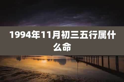 1994年11月初三五行属什么命