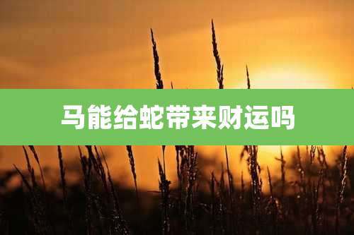 马能给蛇带来财运吗