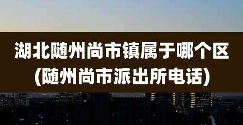 湖北随州尚市镇属于哪个区(随州尚市派出所电话)