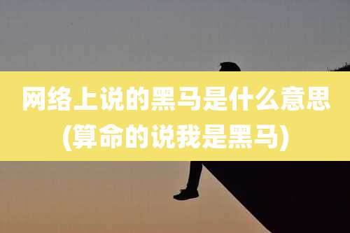 网络上说的黑马是什么意思(算命的说我是黑马)