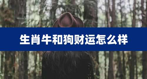 生肖牛和狗财运怎么样