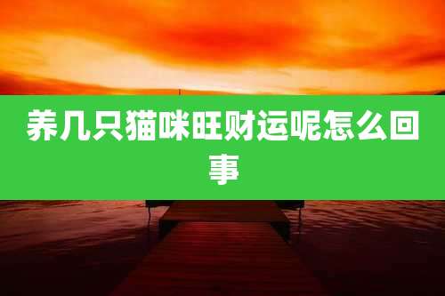 养几只猫咪旺财运呢怎么回事