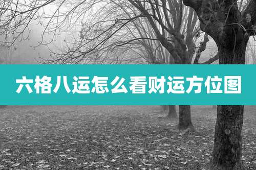 六格八运怎么看财运方位图