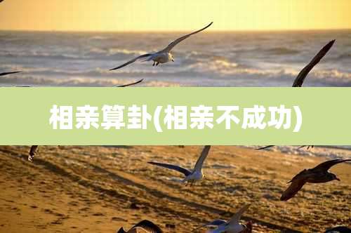 相亲算卦(相亲不成功)