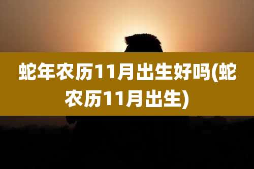 蛇年农历11月出生好吗(蛇农历11月出生)
