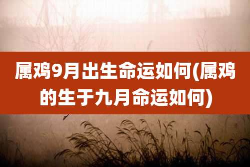属鸡9月出生命运如何(属鸡的生于九月命运如何)
