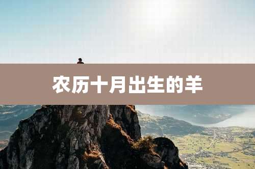 农历十月出生的羊