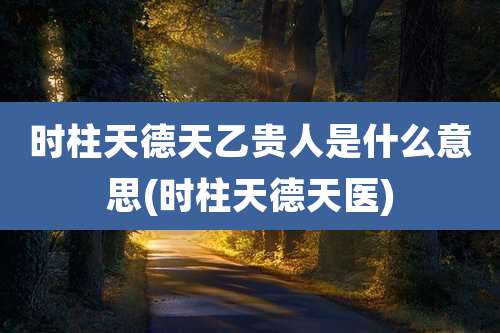 时柱天德天乙贵人是什么意思(时柱天德天医)