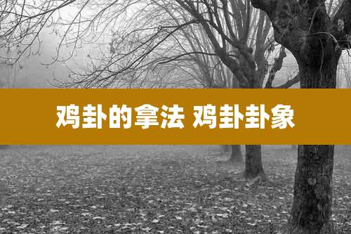 鸡卦的拿法 鸡卦卦象