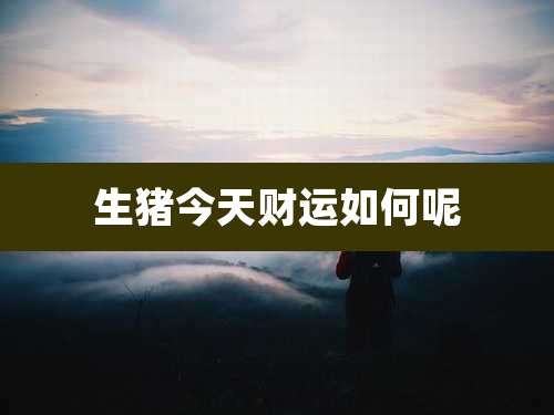 生猪今天财运如何呢