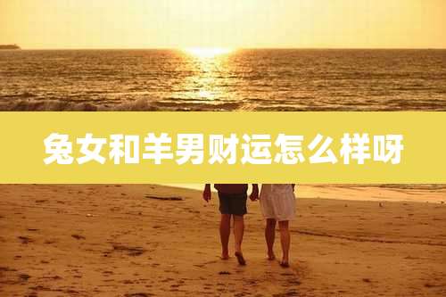 兔女和羊男财运怎么样呀