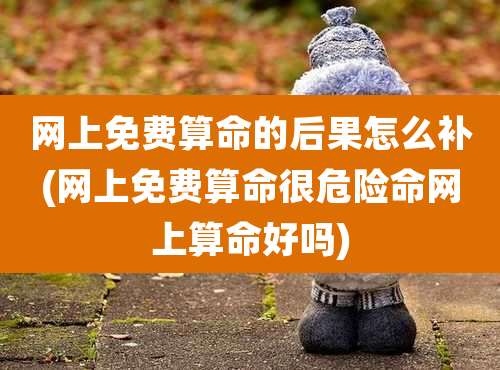 网上免费算命的后果怎么补(网上免费算命很危险命网上算命好吗)