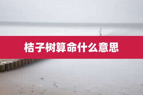 桔子树算命什么意思