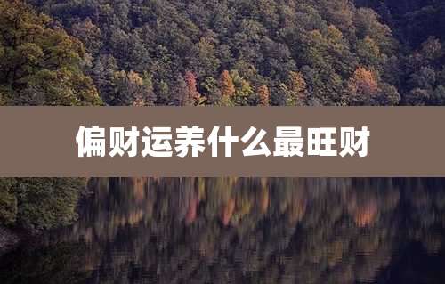 偏财运养什么最旺财