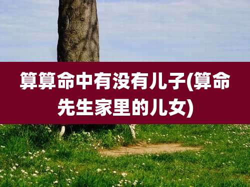 算算命中有没有儿子(算命先生家里的儿女)