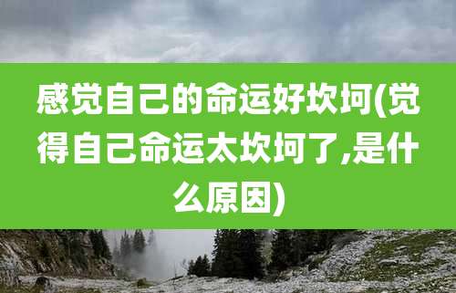 感觉自己的命运好坎坷(觉得自己命运太坎坷了,是什么原因)