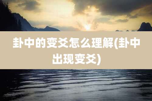 卦中的变爻怎么理解(卦中出现变爻)