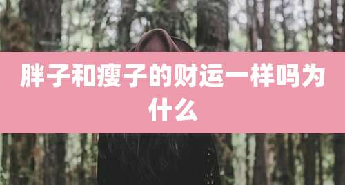 胖子和瘦子的财运一样吗为什么