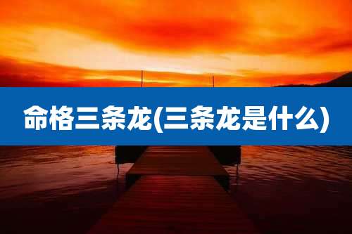 命格三条龙(三条龙是什么)