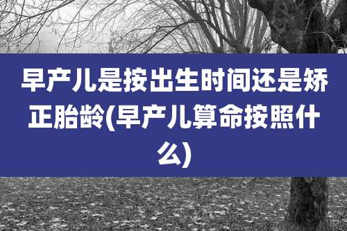 早产儿是按出生时间还是矫正胎龄(早产儿算命按照什么)