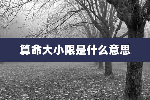 算命大小限是什么意思